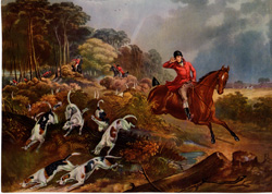 Fox hunting, polo and other horse prints